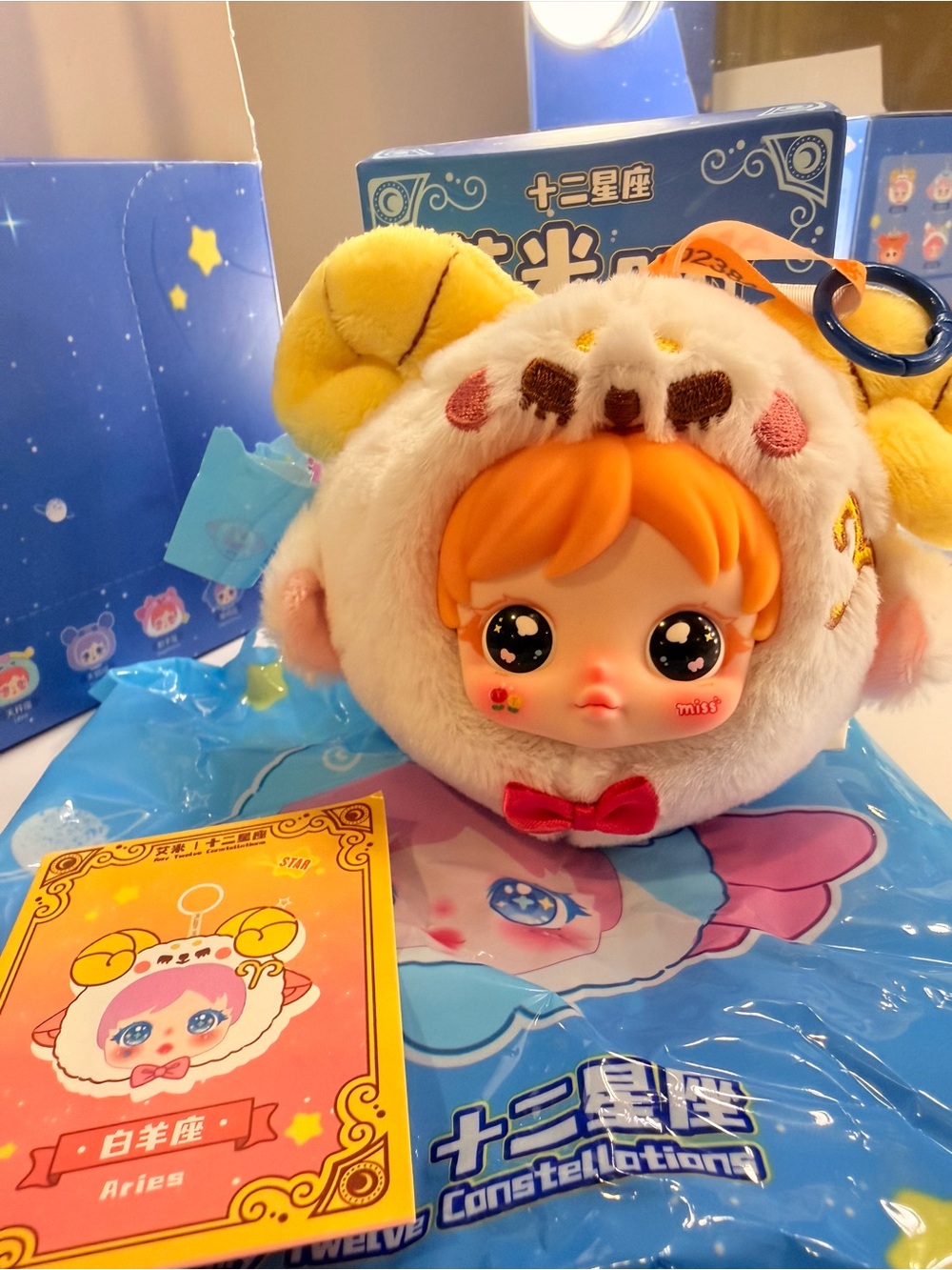 艾米AMY Aries Plush Blind Box